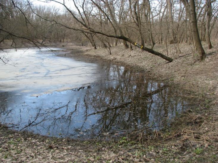 Кочережки з panoramio.com - Кочережки
