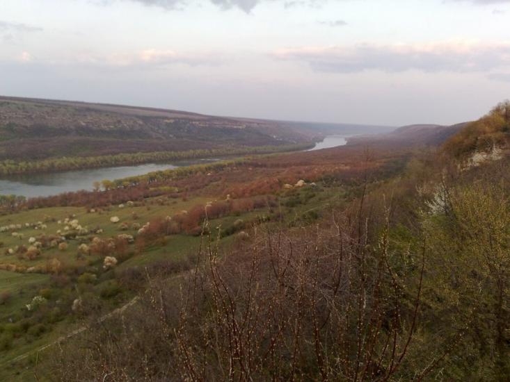 Олексіївка з panoramio.com - Алексеевка