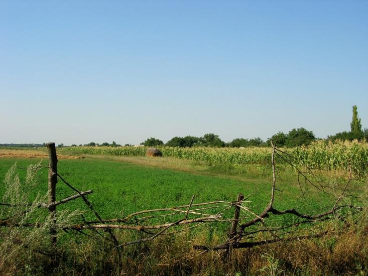 Львів з panoramio.com - Львів