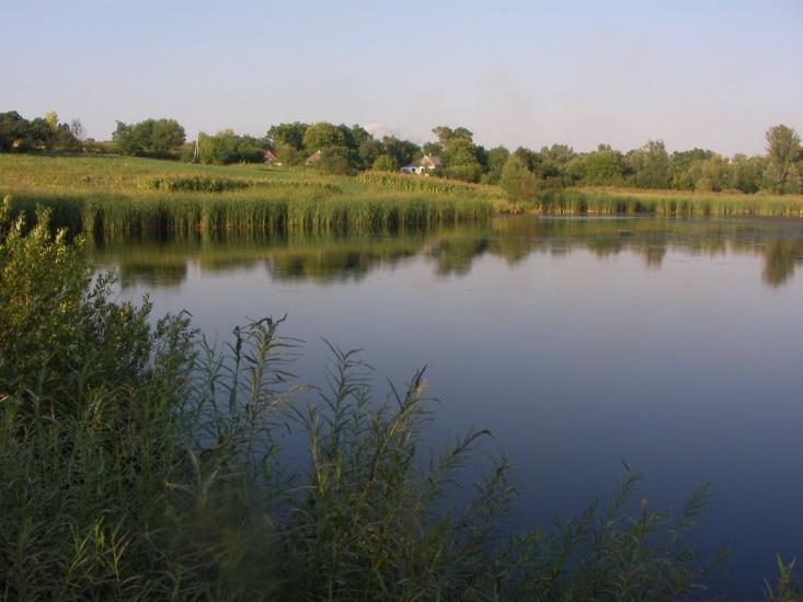 Дашуківка з panoramio.com - Дашуківка