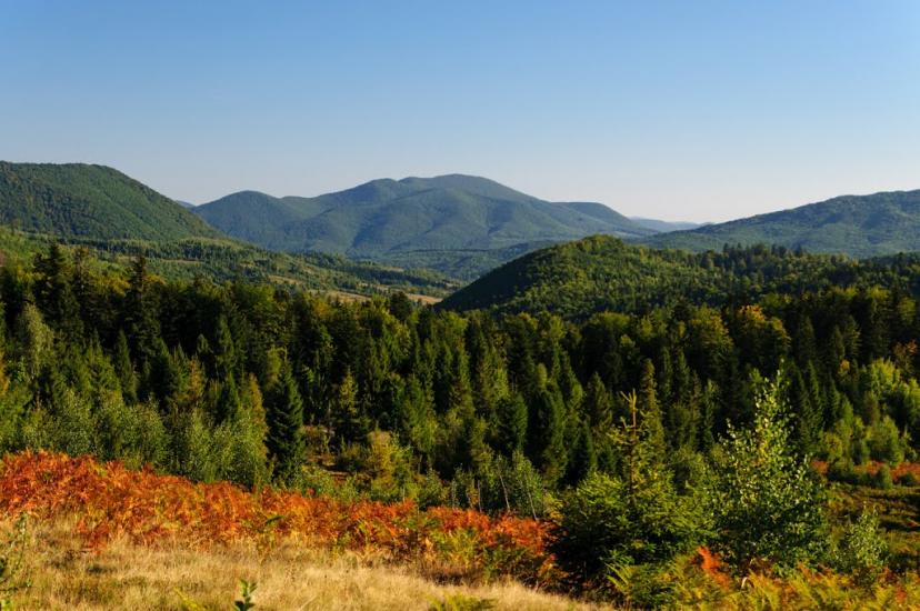 Щербовець з panoramio.com - Щербовец