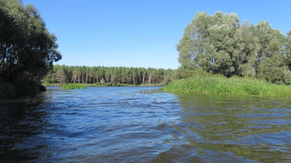 Прохорів з panoramio.com - Прохоров