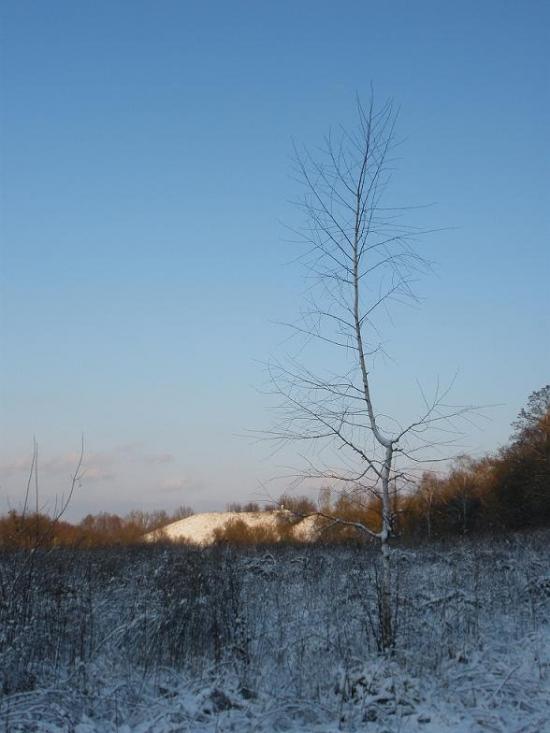 Лохвиця з panoramio.com - Lokhvitsa