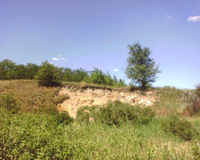 Павлопіль з panoramio.com - Павлопіль
