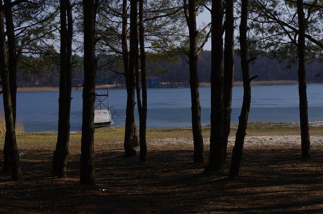 Соловичі з panoramio.com - Соловичі