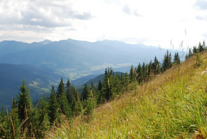 Згари з panoramio.com - Згары