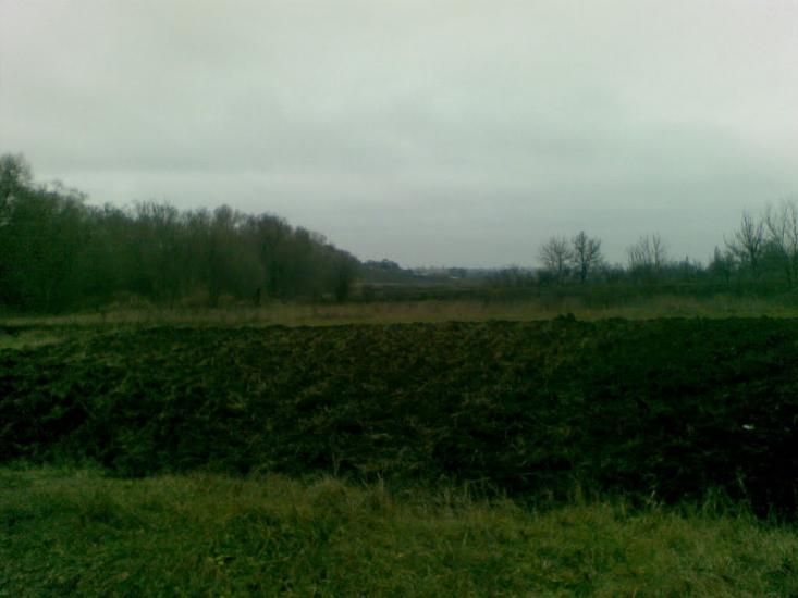 Добровеличківка з panoramio.com - Добровеличковка