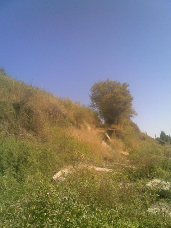 Орлівка з panoramio.com - Orlivka