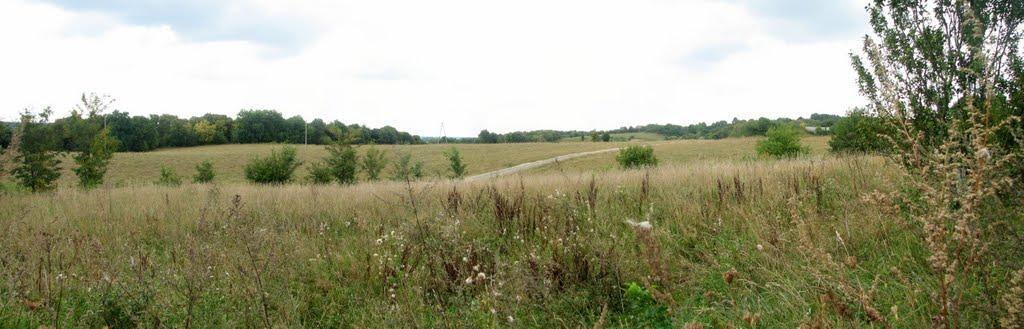 Головчинці з panoramio.com - Головчинцы