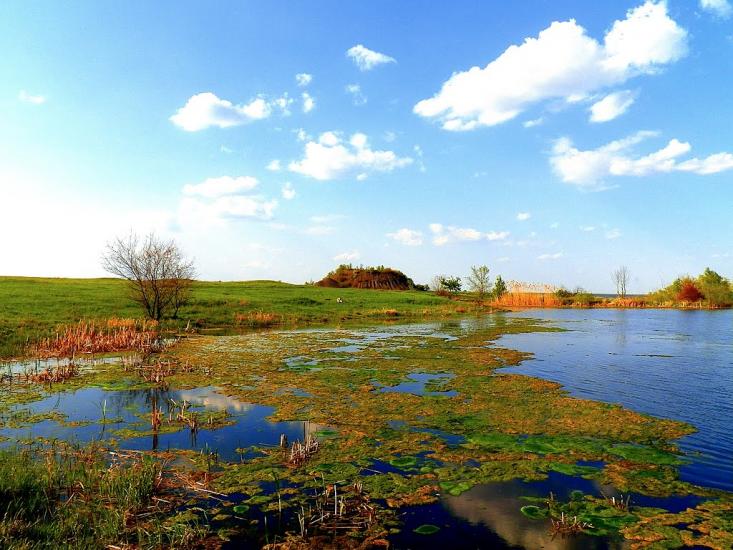 Шимшинівка з panoramio.com - Шимшинівка