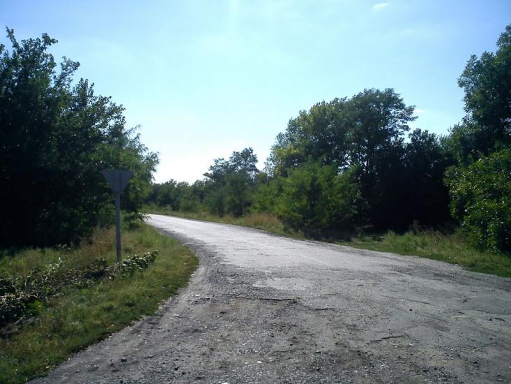 Оріхуватка з panoramio.com - Орехуватка