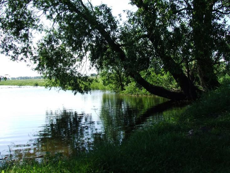 Рубанка з panoramio.com - Рубанка