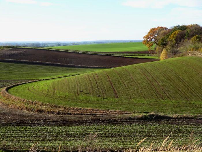 Корчів з panoramio.com - Корчів