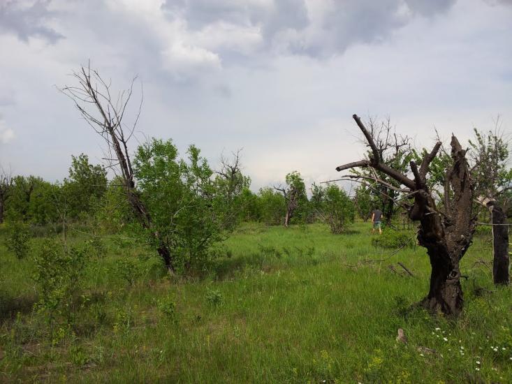 Хрящувате з panoramio.com - Хрящувате