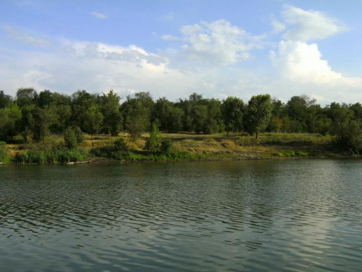 Павлопіль з panoramio.com - Павлопіль