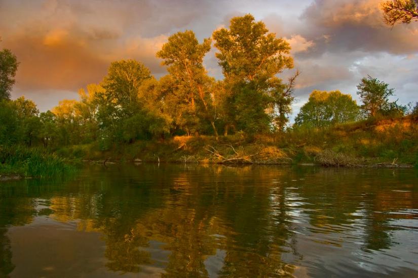 Плавні з panoramio.com - Плавни