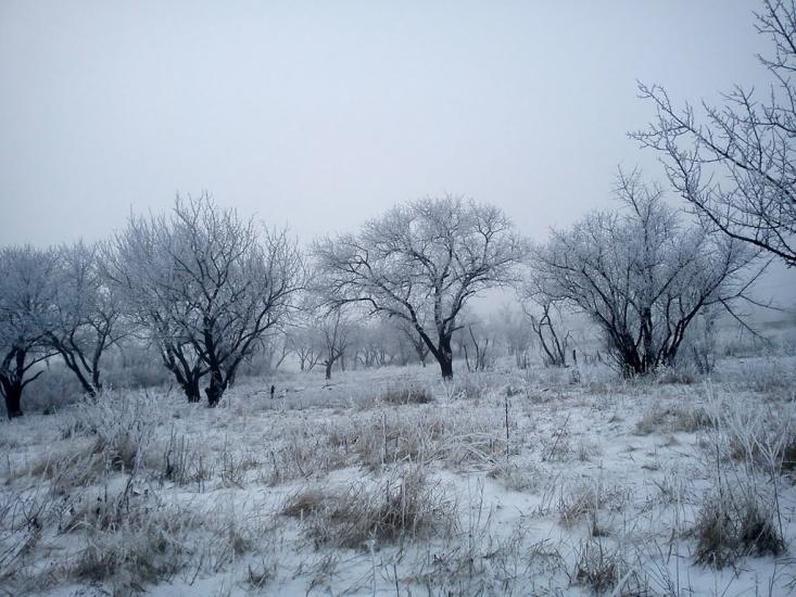 Ровеньки з panoramio.com - Ровеньки