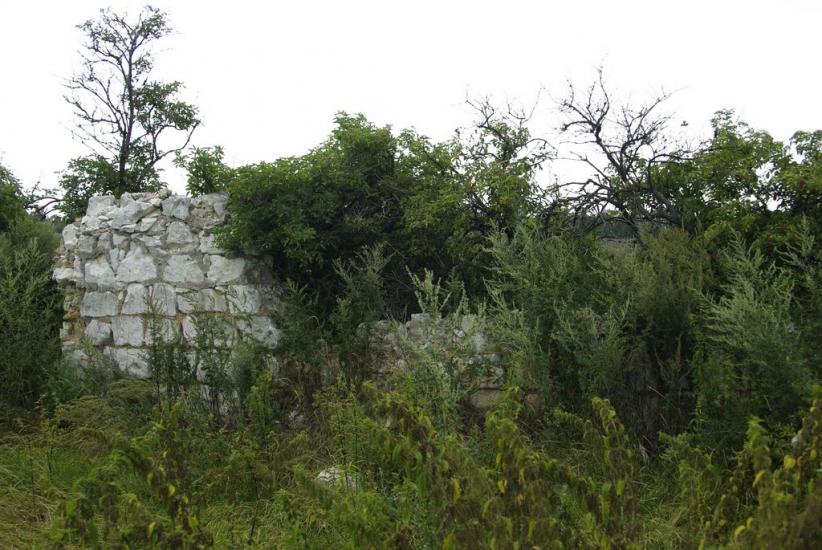 Білокузьминівка з panoramio.com - Білокузьминівка