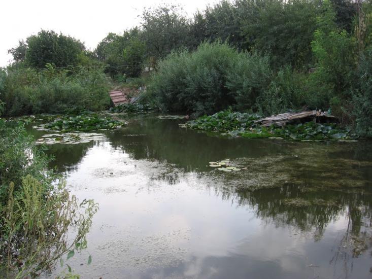 Бабаї з panoramio.com - Бабаи