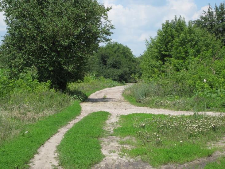 Григорівка з panoramio.com - Григоровка