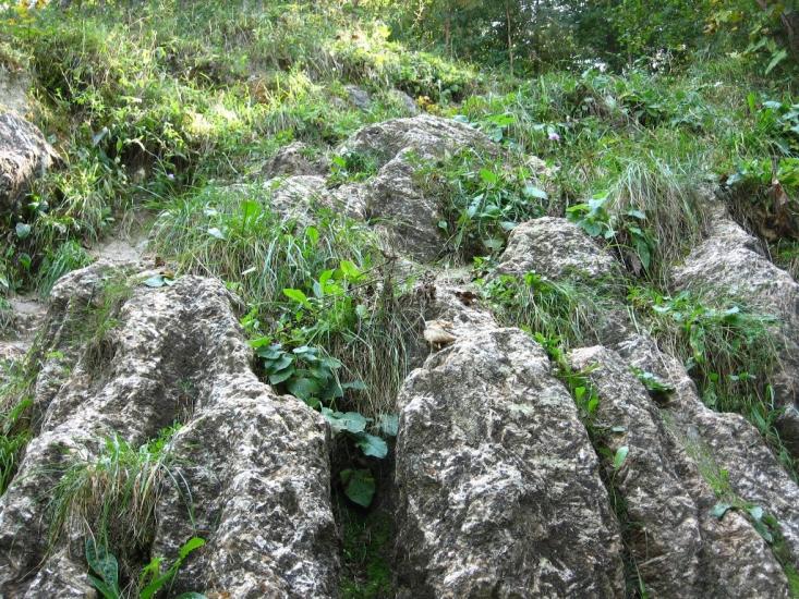 Кривче з panoramio.com - Кривче