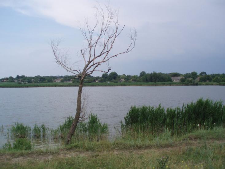 Запорізьке з panoramio.com - Запорожское