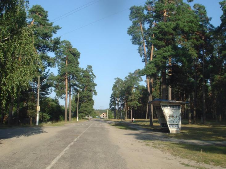 Кодра з panoramio.com - Кодра