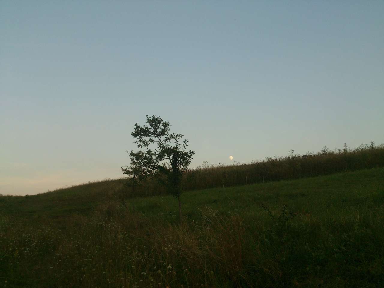 Ганачівка - Ганачівка