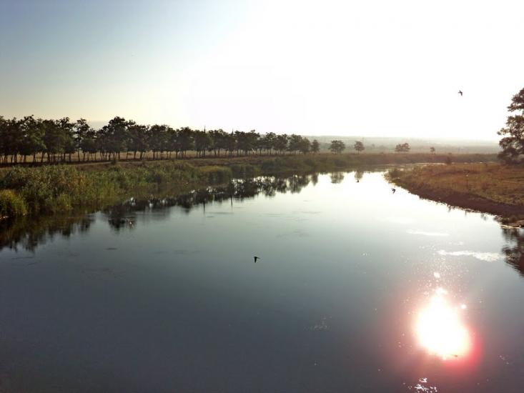 Комар з panoramio.com - Комар