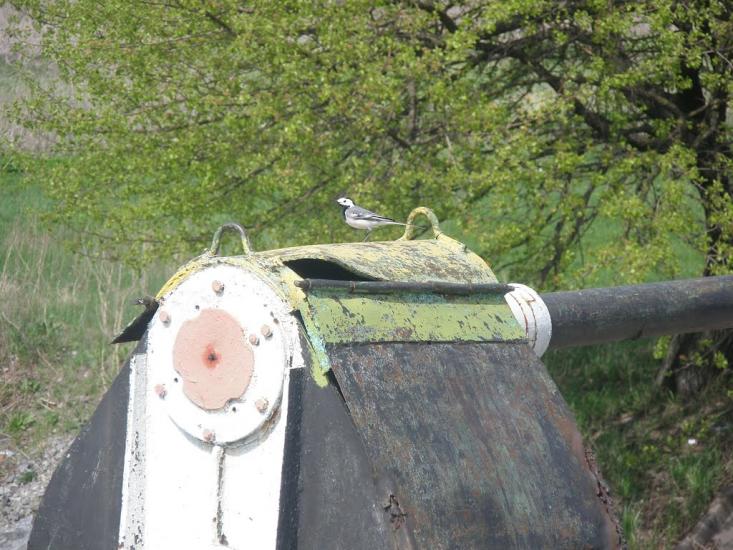 Біляки з panoramio.com - Біляки