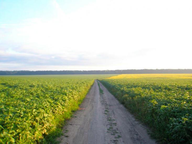 Осіївка з panoramio.com - Осіївка