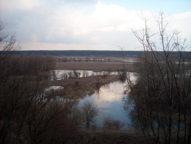 Тернова з panoramio.com - Тернова