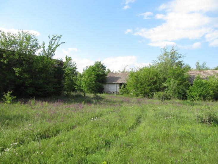 Зелений Гай з panoramio.com - Зеленый Гай