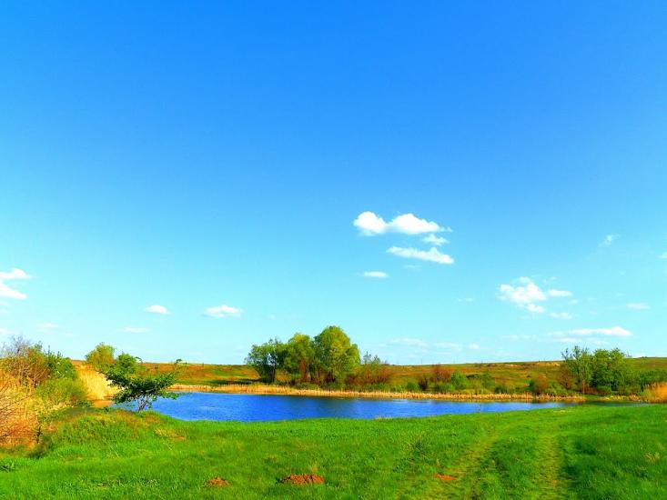 Шимшинівка з panoramio.com - Шимшиновка
