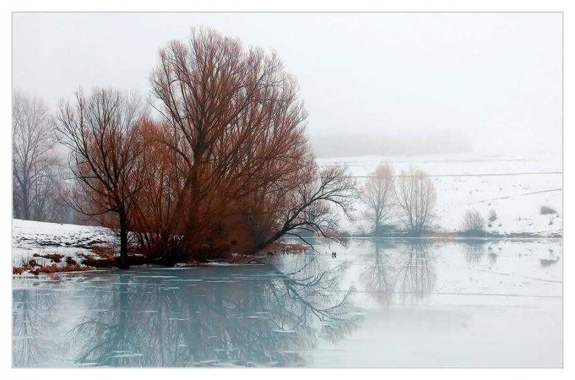 Скалівські Хутори з panoramio.com - Skalivski Khutory