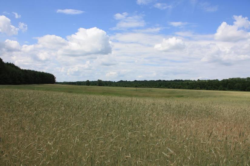 Крутьки з panoramio.com - Крутьки