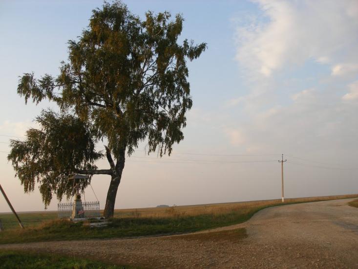 Токи з panoramio.com - Токи