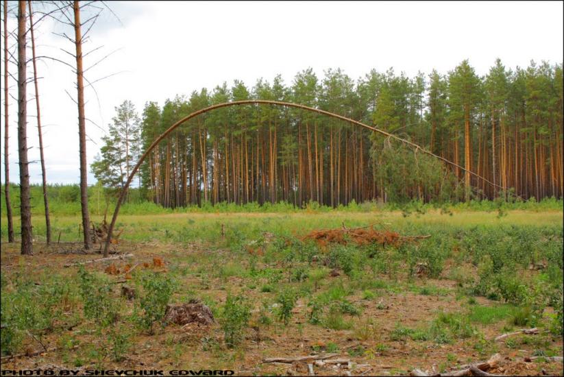 Косачівка з panoramio.com - Косачівка