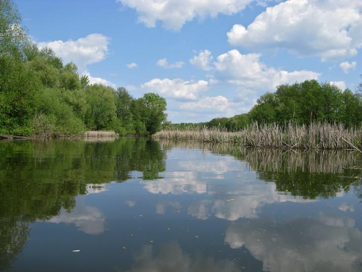 Шапіївка з panoramio.com - Shapiyivka