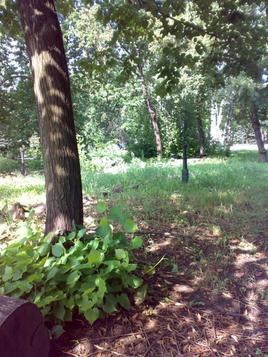 Стаханов з panoramio.com - Стаханов