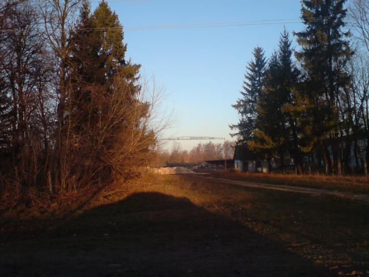 Нестерівці з panoramio.com - Нестеровцы