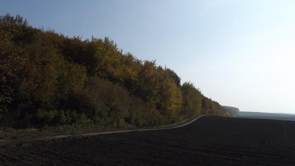Лаврів з panoramio.com - Лавров