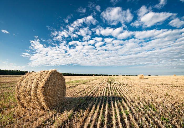 Миронівка з panoramio.com - Мироновка