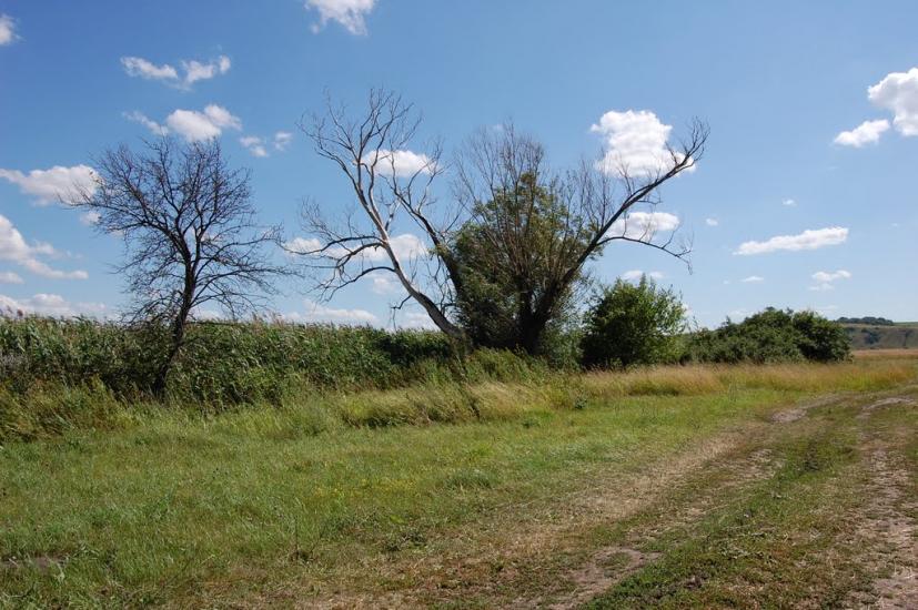 Новомикільське з panoramio.com - Новоникольское