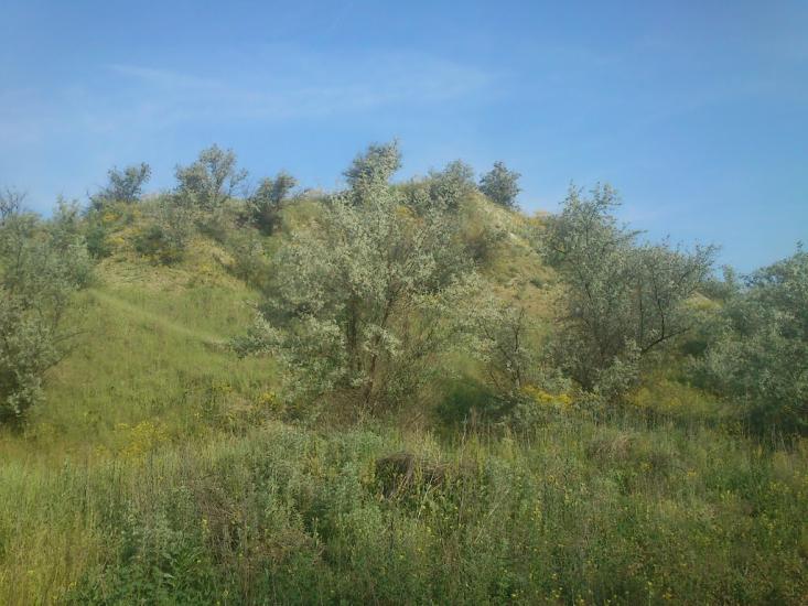 Орджонікідзе з panoramio.com - Орджоникидзе