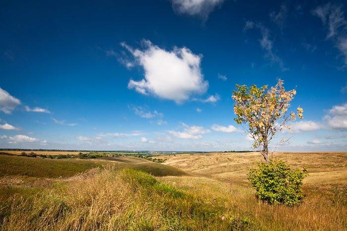 Миронівка з panoramio.com - Мироновка