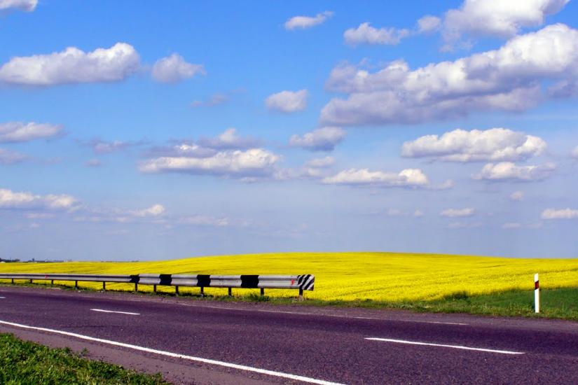 Велика Омеляна з panoramio.com - Велика Омеляна