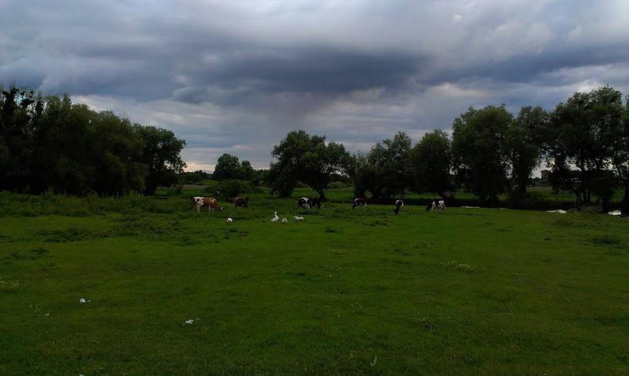 Городок з panoramio.com - Gorodok