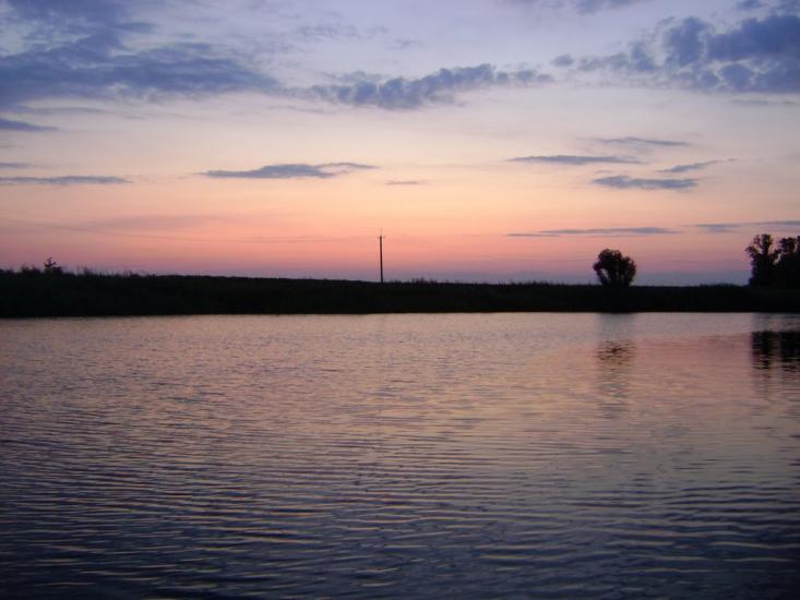 Комар з panoramio.com - Komar