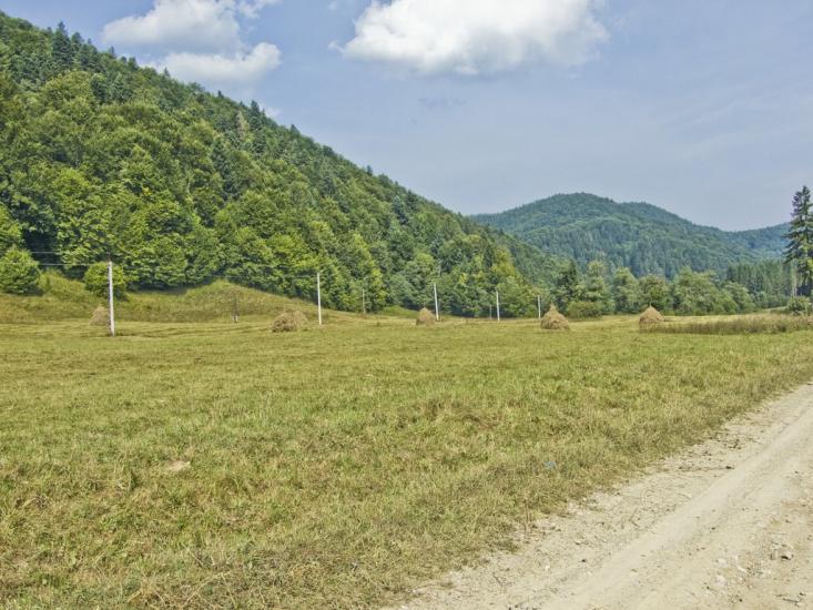 Стара Красношора з panoramio.com - Старая Красношора